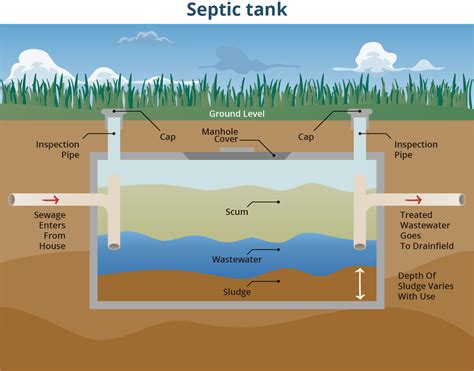 What to do if your septic tank is leaking above ground 